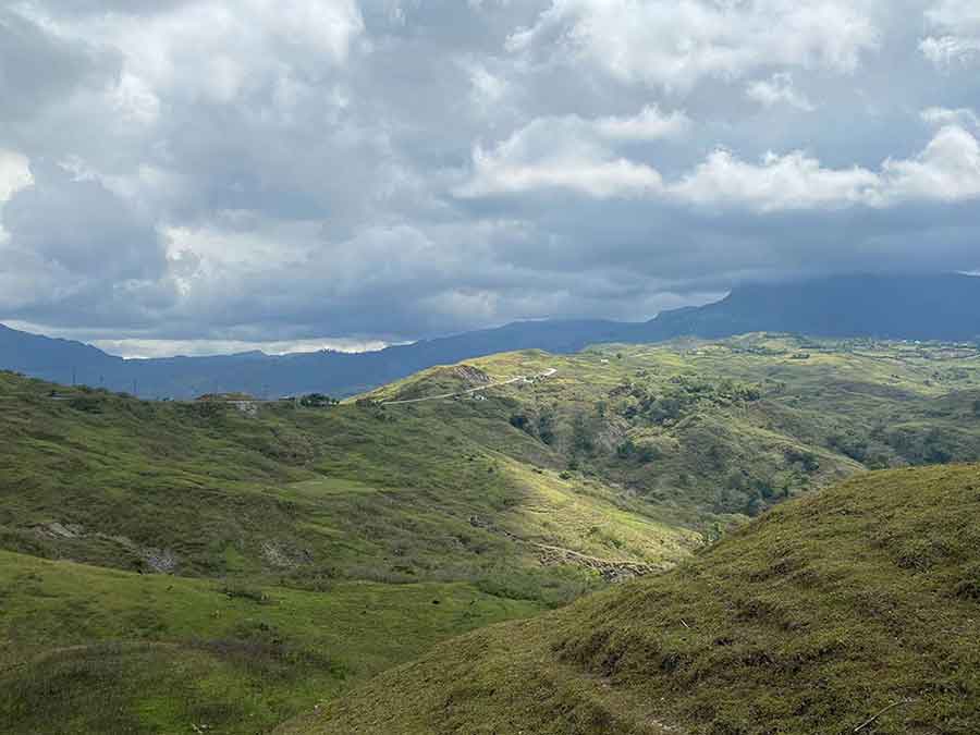 Kawasan hutan