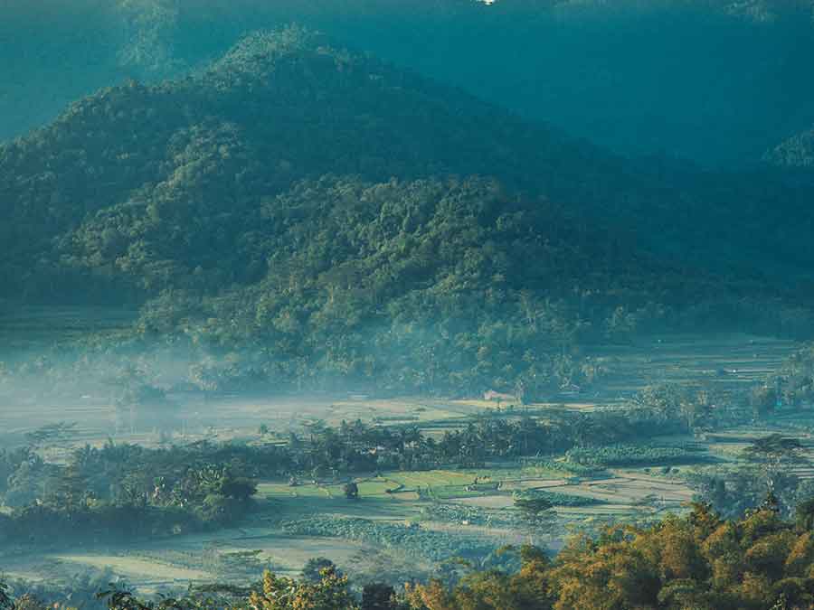 The Vital Importance of Land Rehabilitation